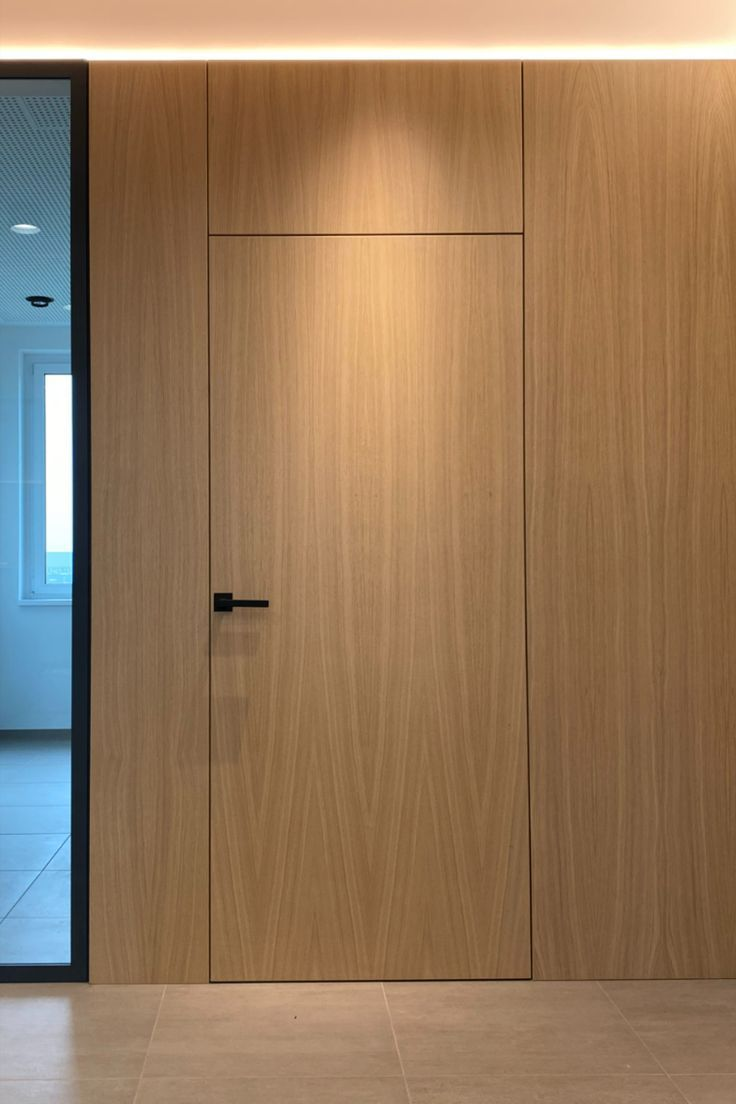 Invisible Frameless Room Doors