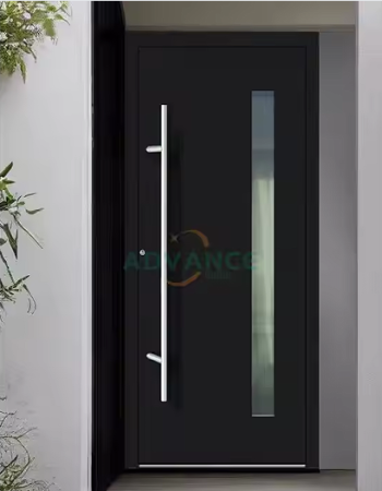 Stainless Steel Entrance Door 5