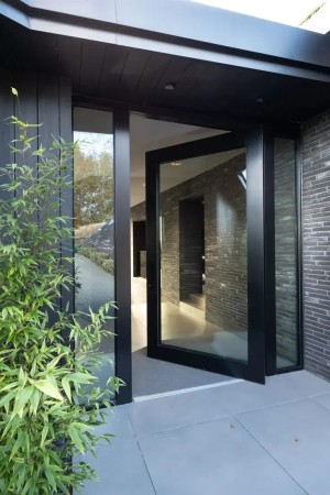 Glass Povot Entrance Door 3